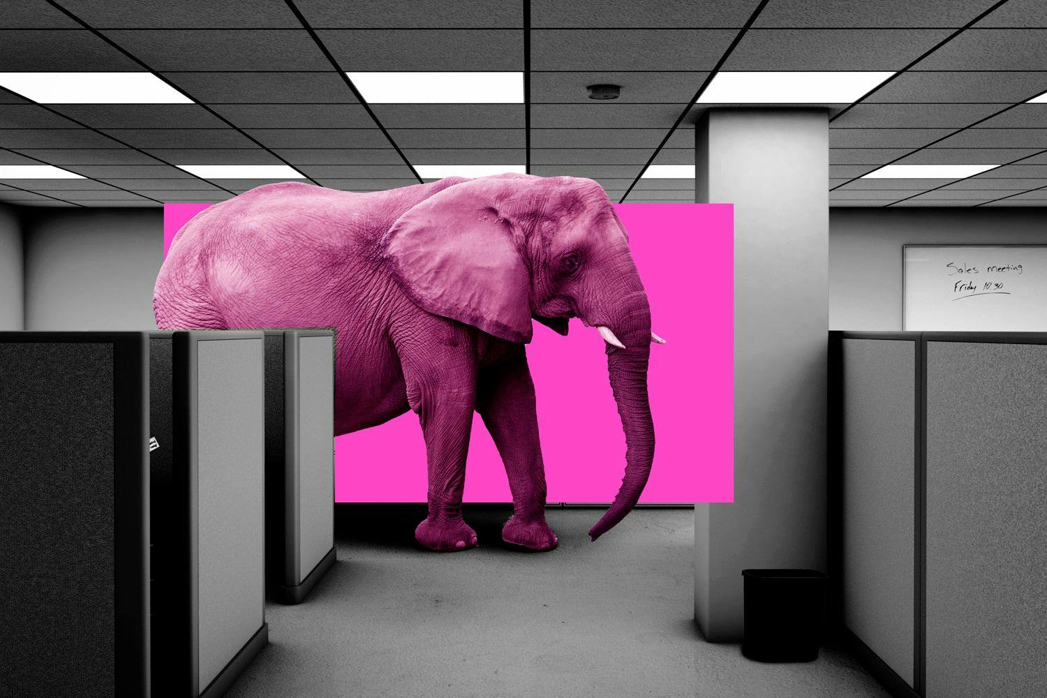 Elephant in the office