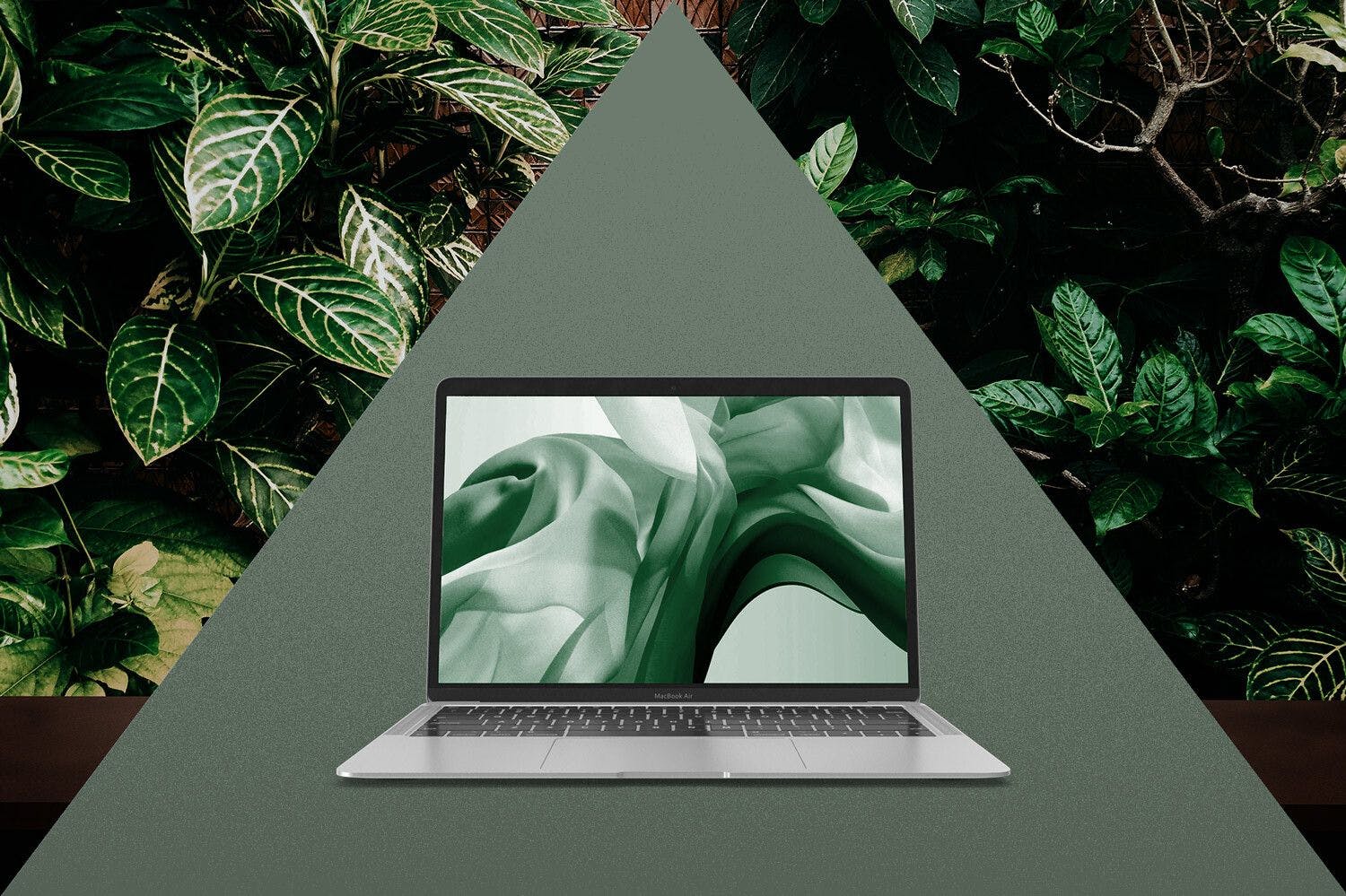 image of a laptop in a green triangle and surrounded by various leaves