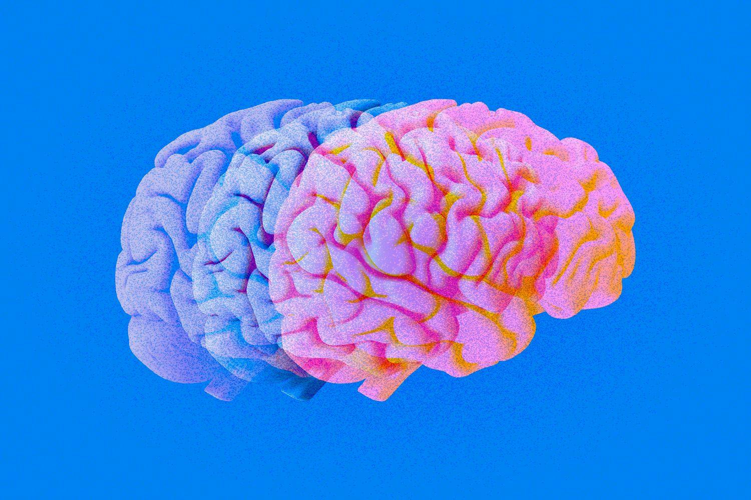 Image of transparent brains blending into each other.